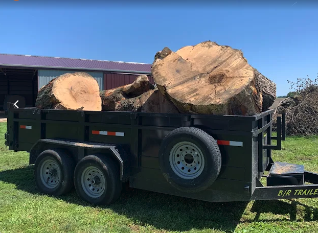 Trailer loaded with large log rounds, hauled away